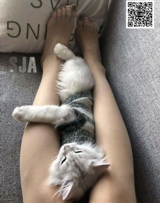 完美搭配2韩版免费_蓝光高清视频观看